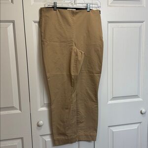 Everlane Beige Pants Size 10
